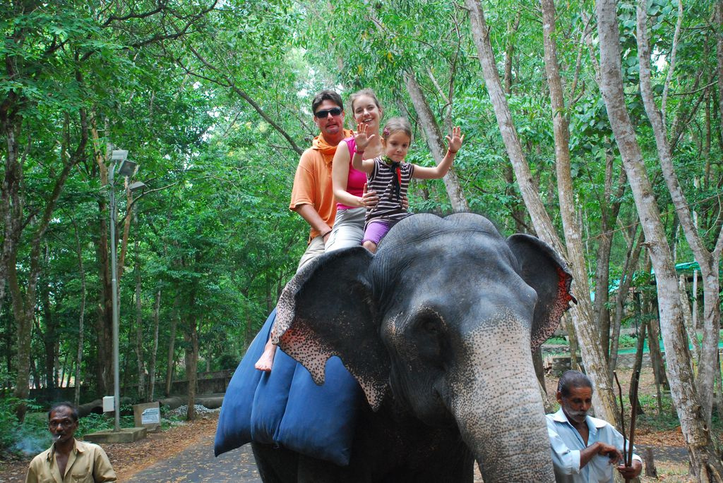 Indiai elefánt - 44
