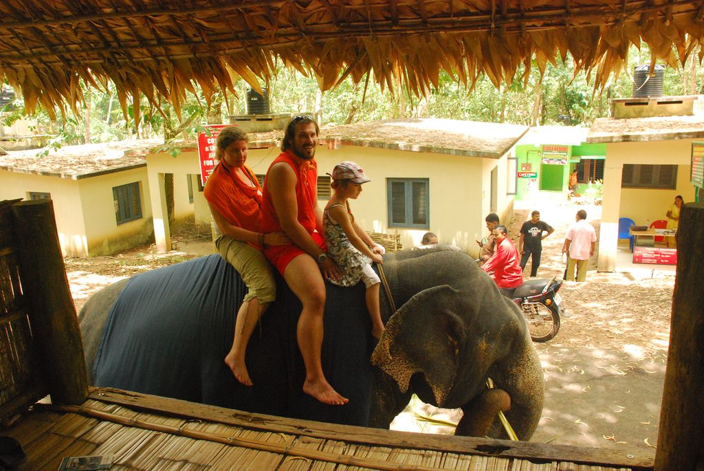 Indiai elefánt - 93