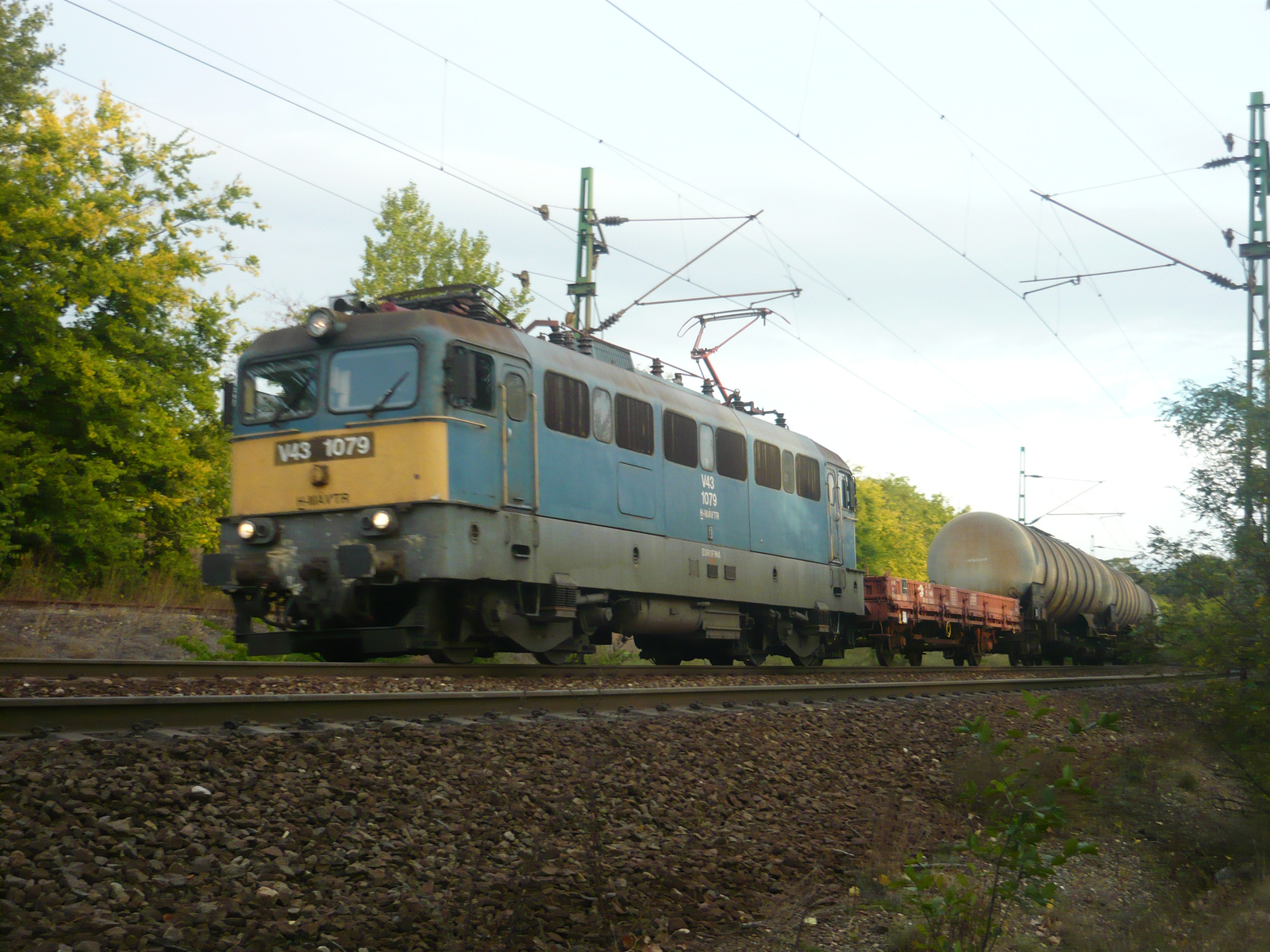 V43 1079