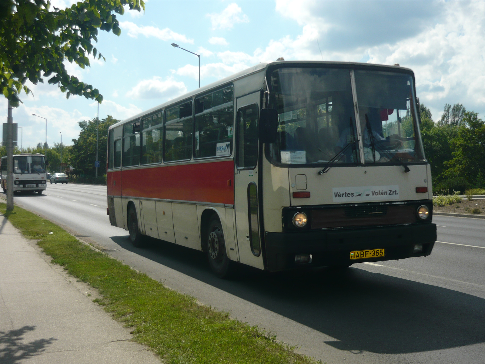 Ikarus 256.50 (ABF-365)