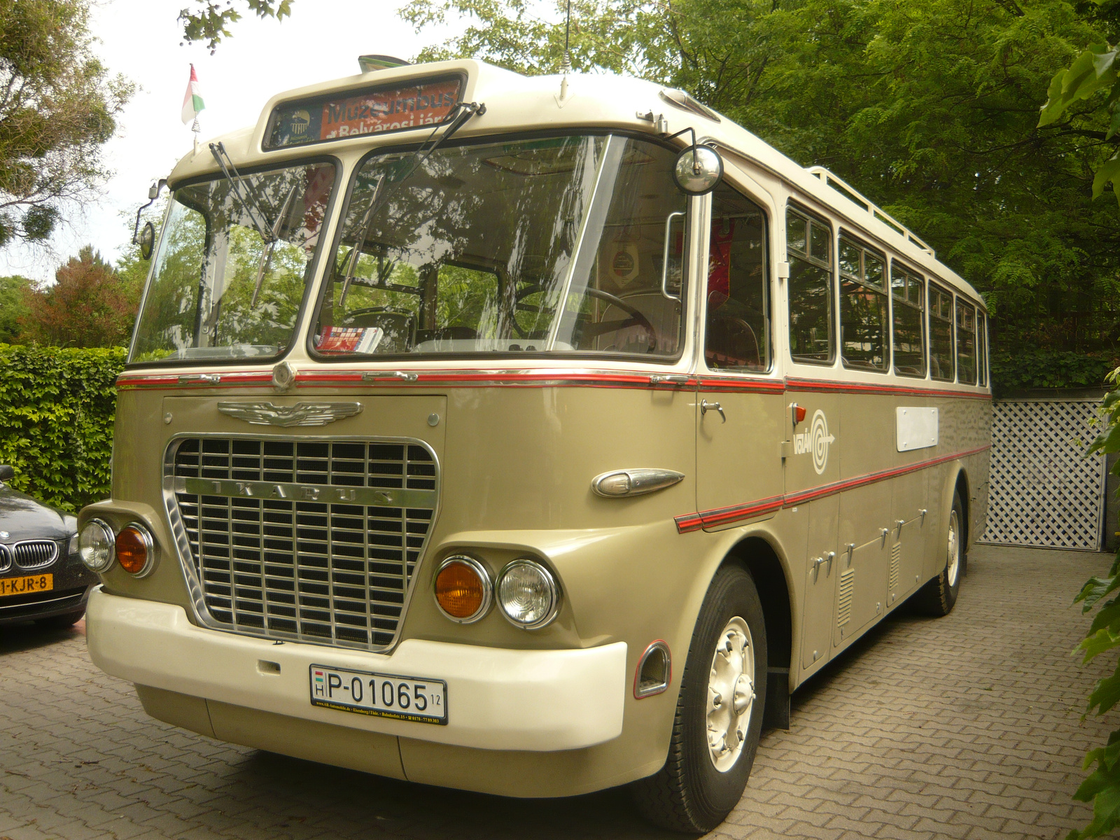 Ikarus 630