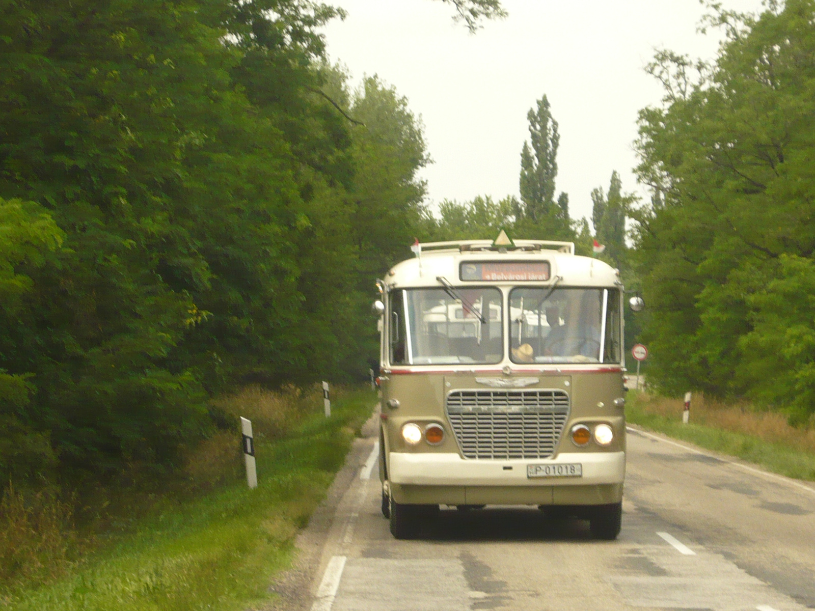 Ikarus 630