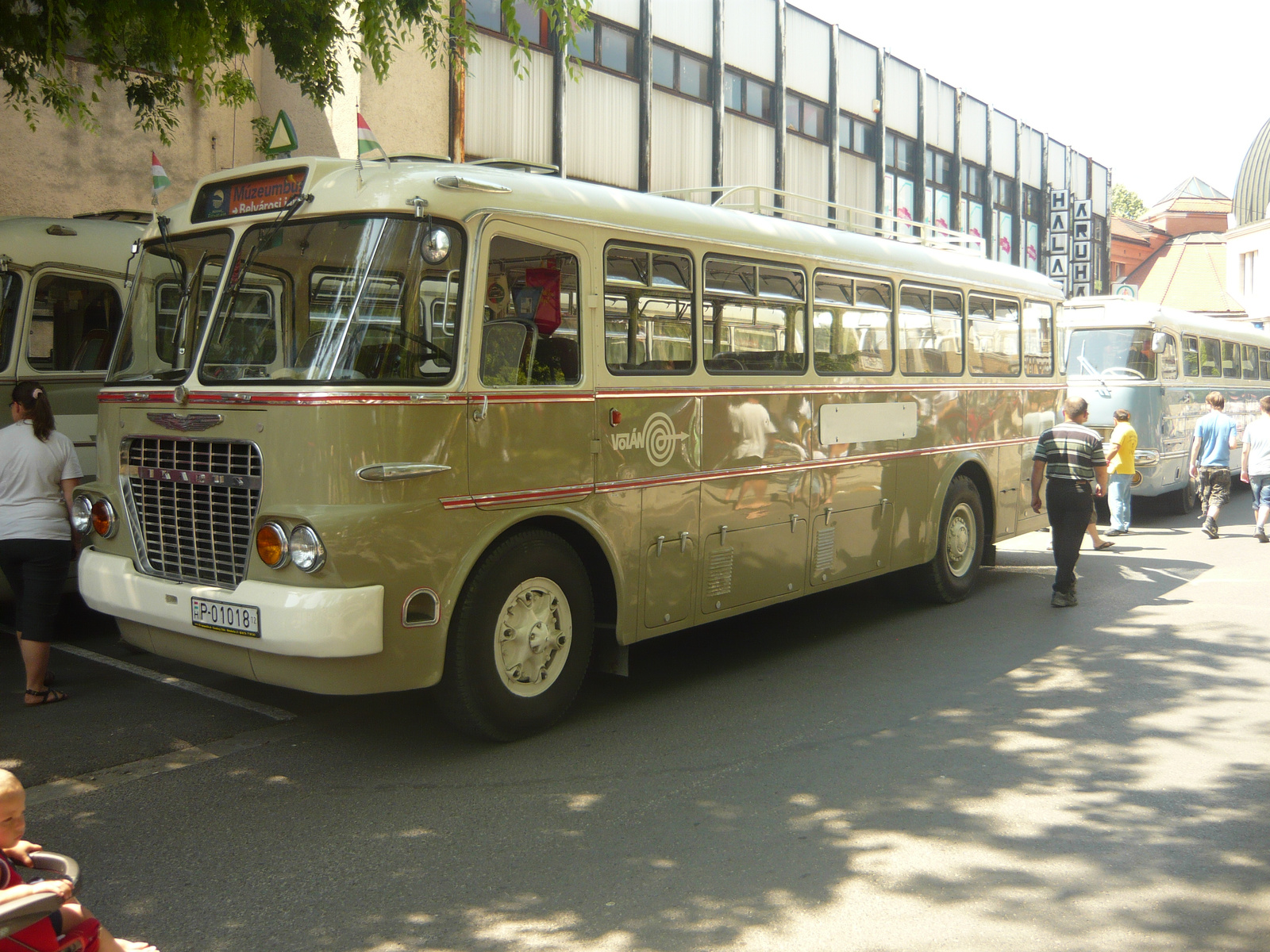 Ikarus 630