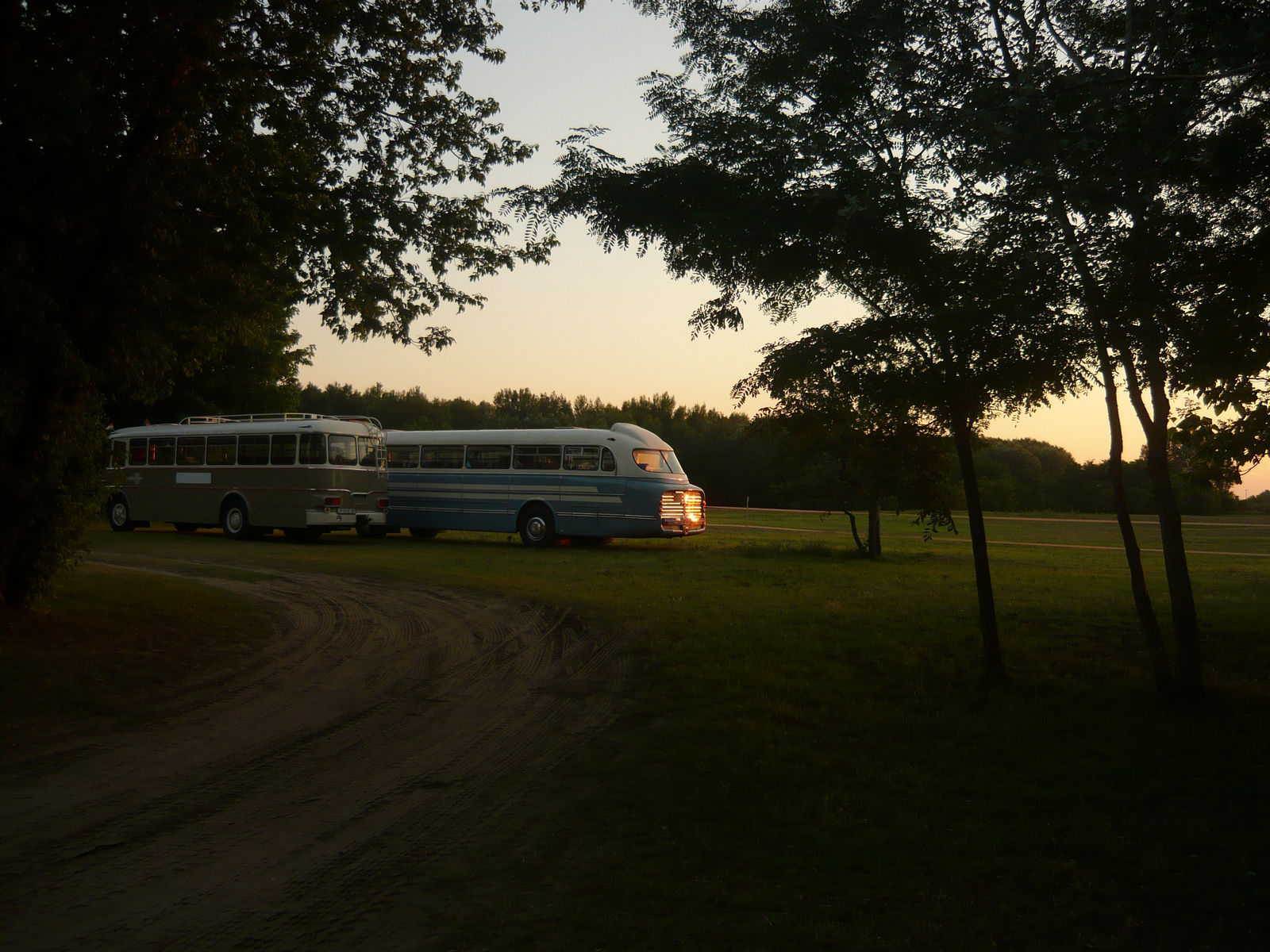 Ikarus 630 és Ikarus 55