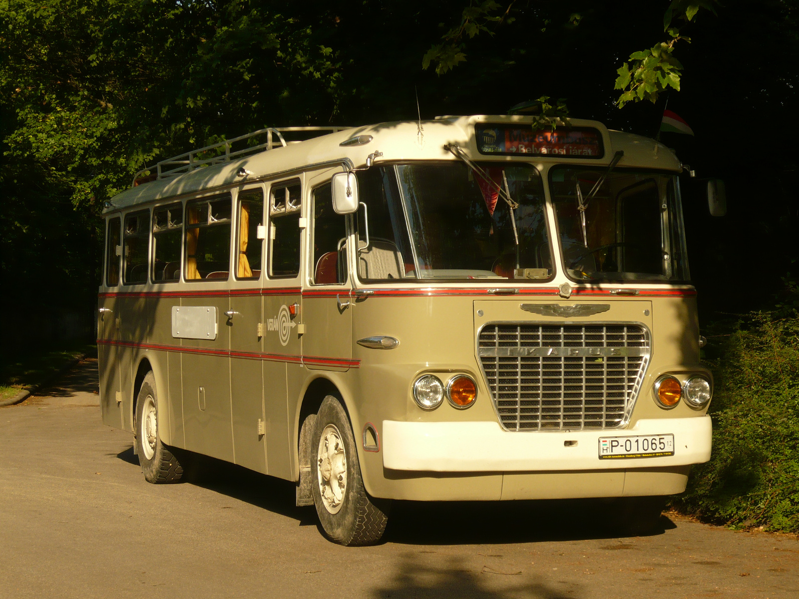 Ikarus 630