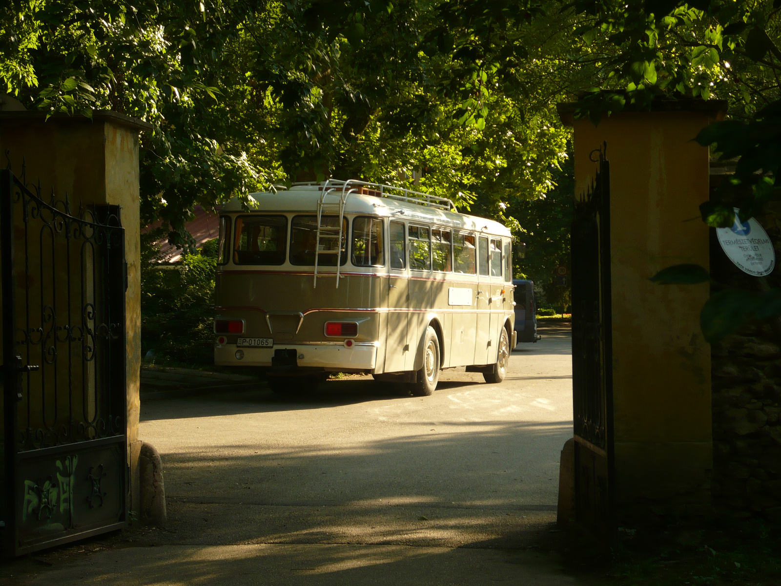 Ikarus 630