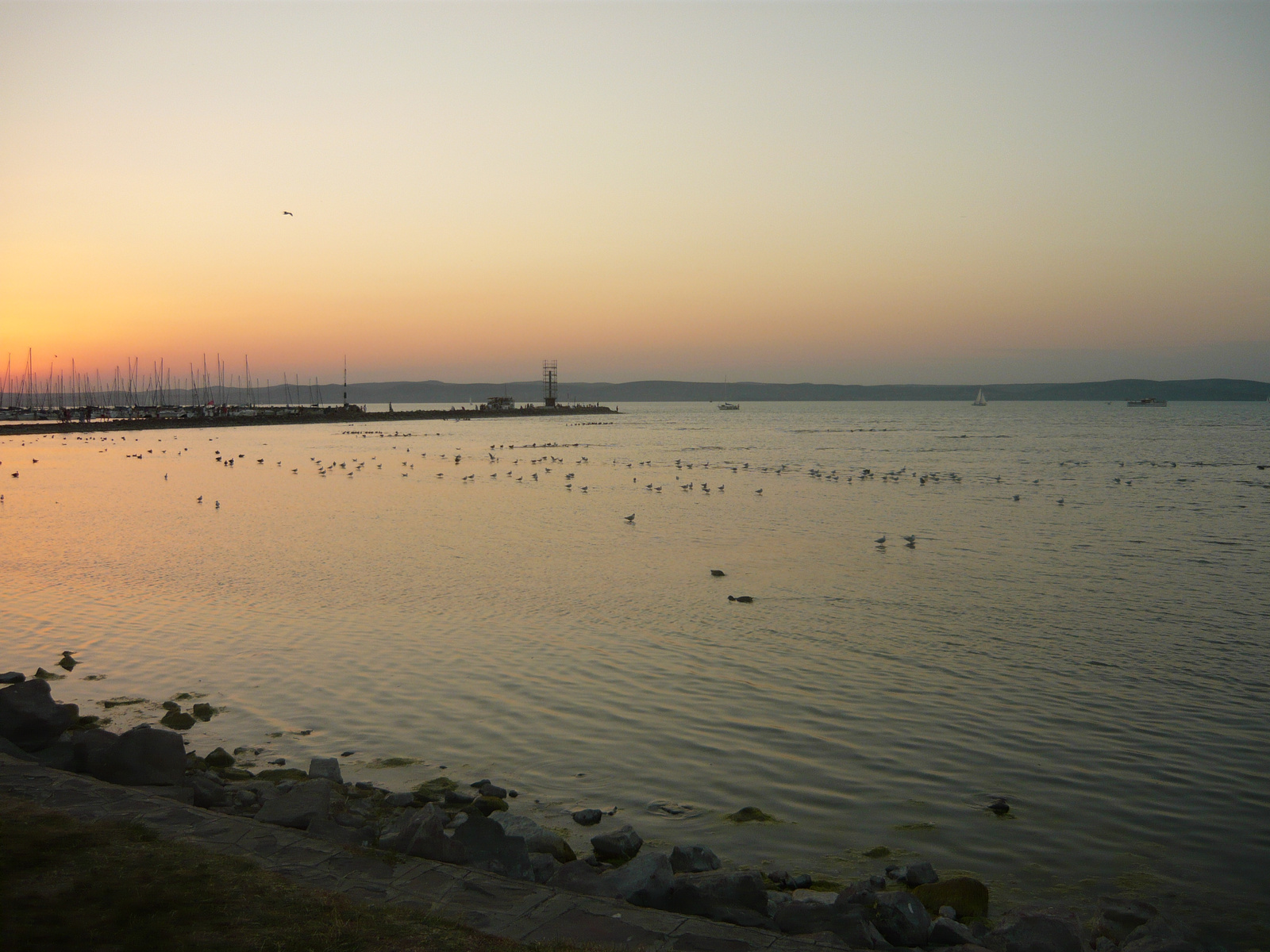 Balatonpart