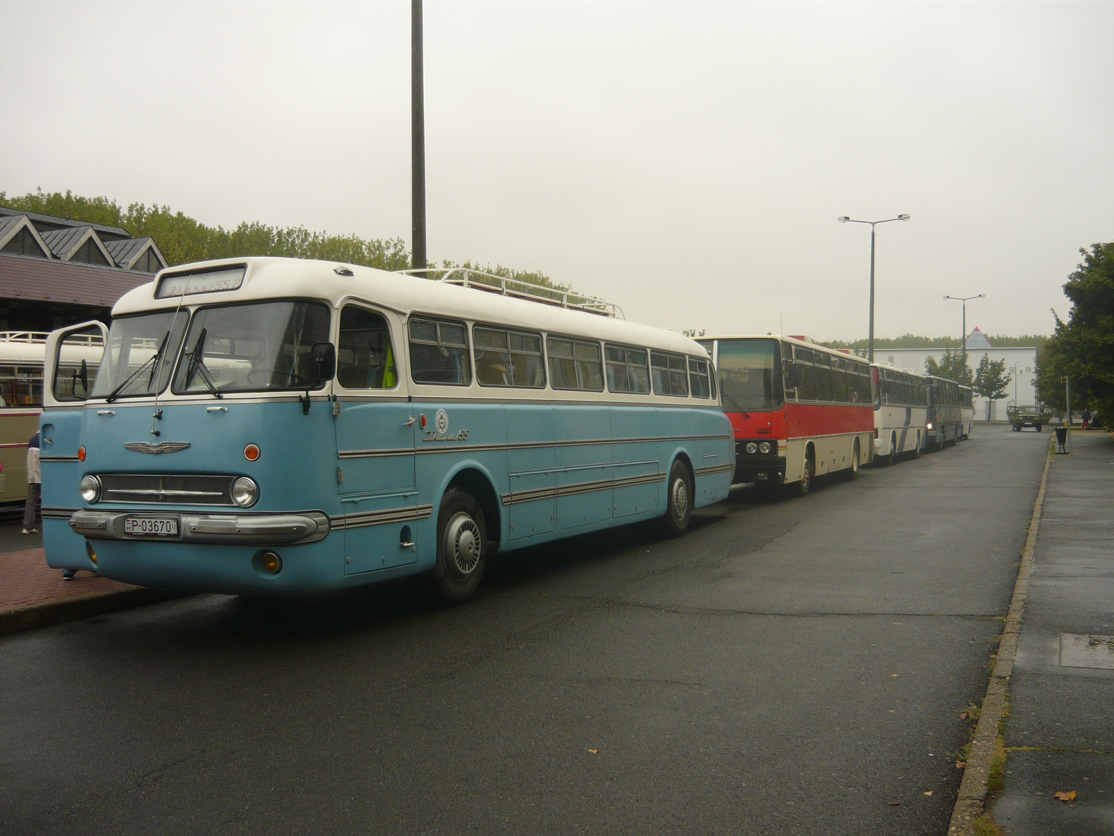 Ikarus 55