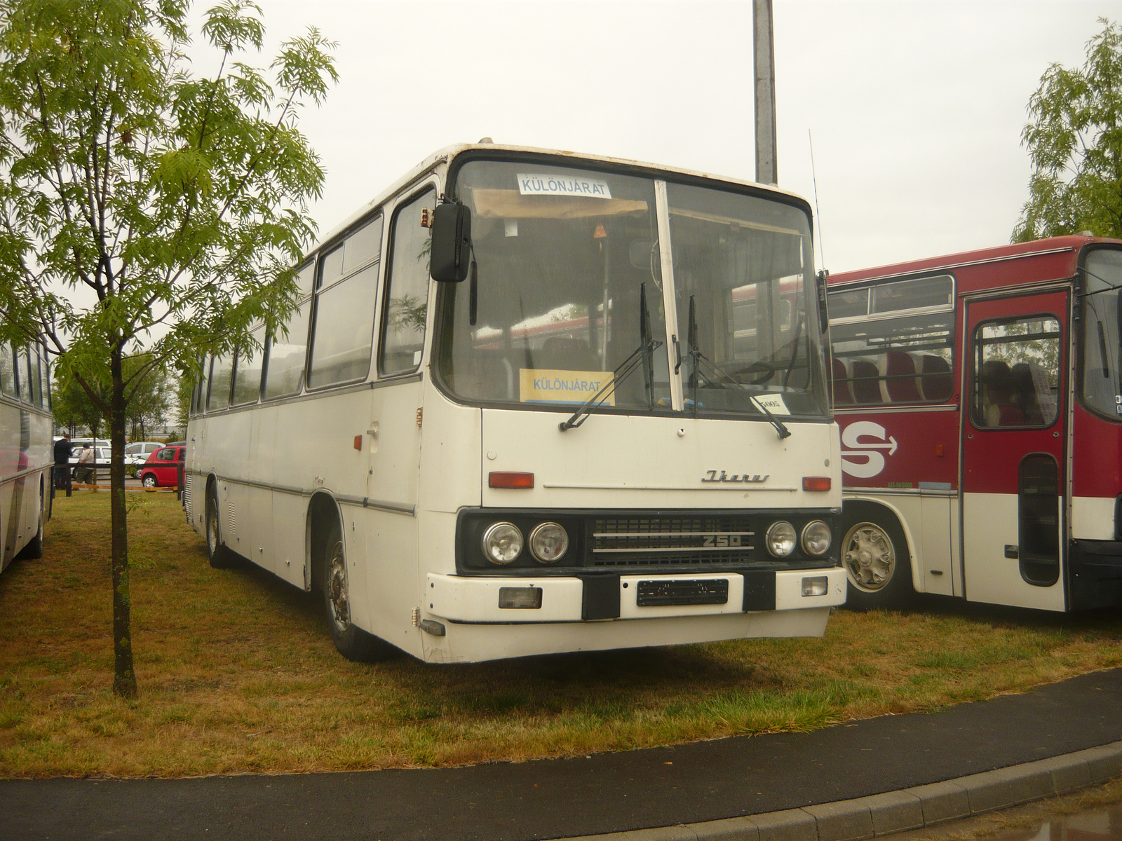 Ikarus 255 (BPS-078)