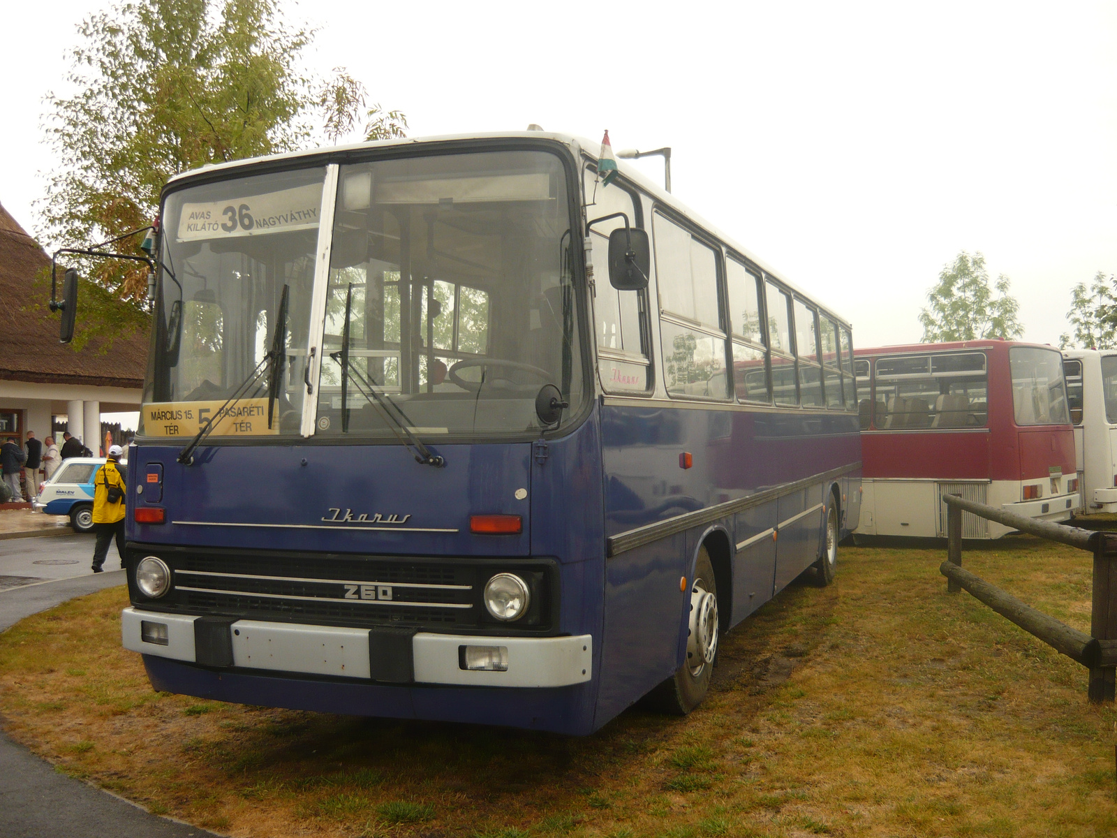 Ikarus 260