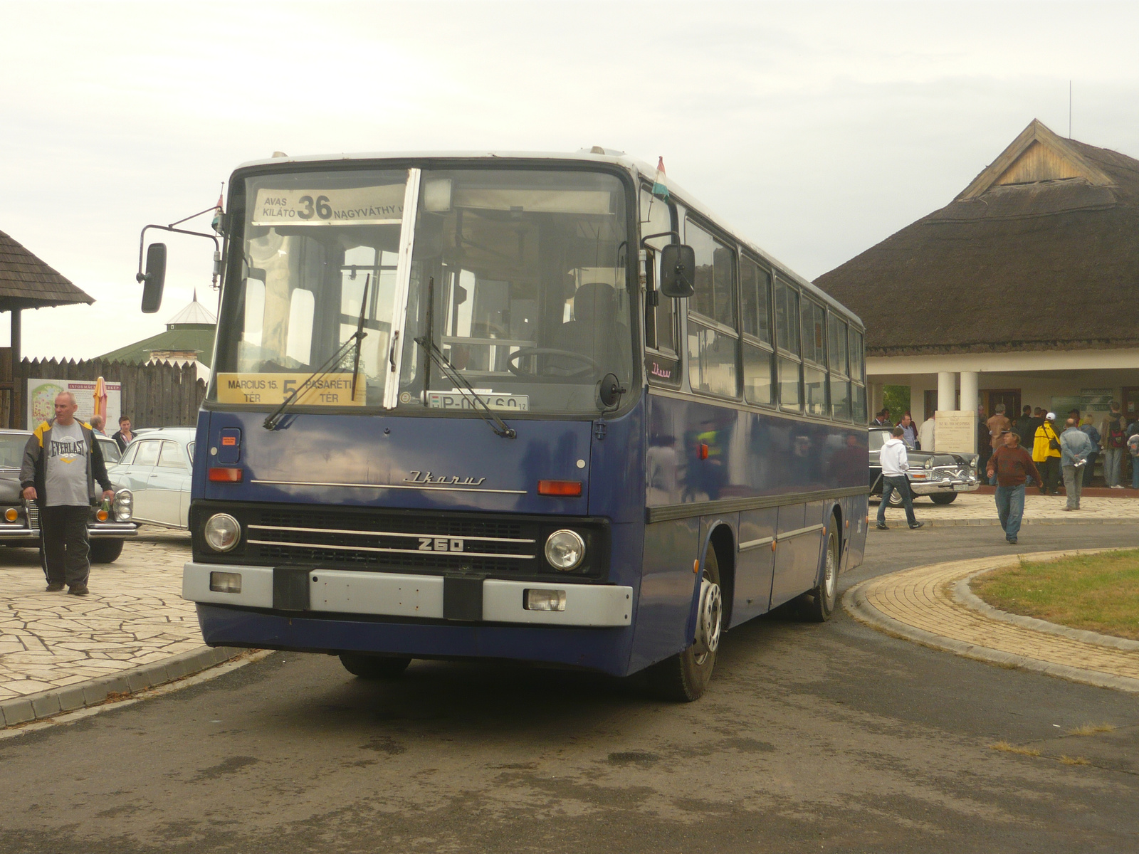 Ikarus 260