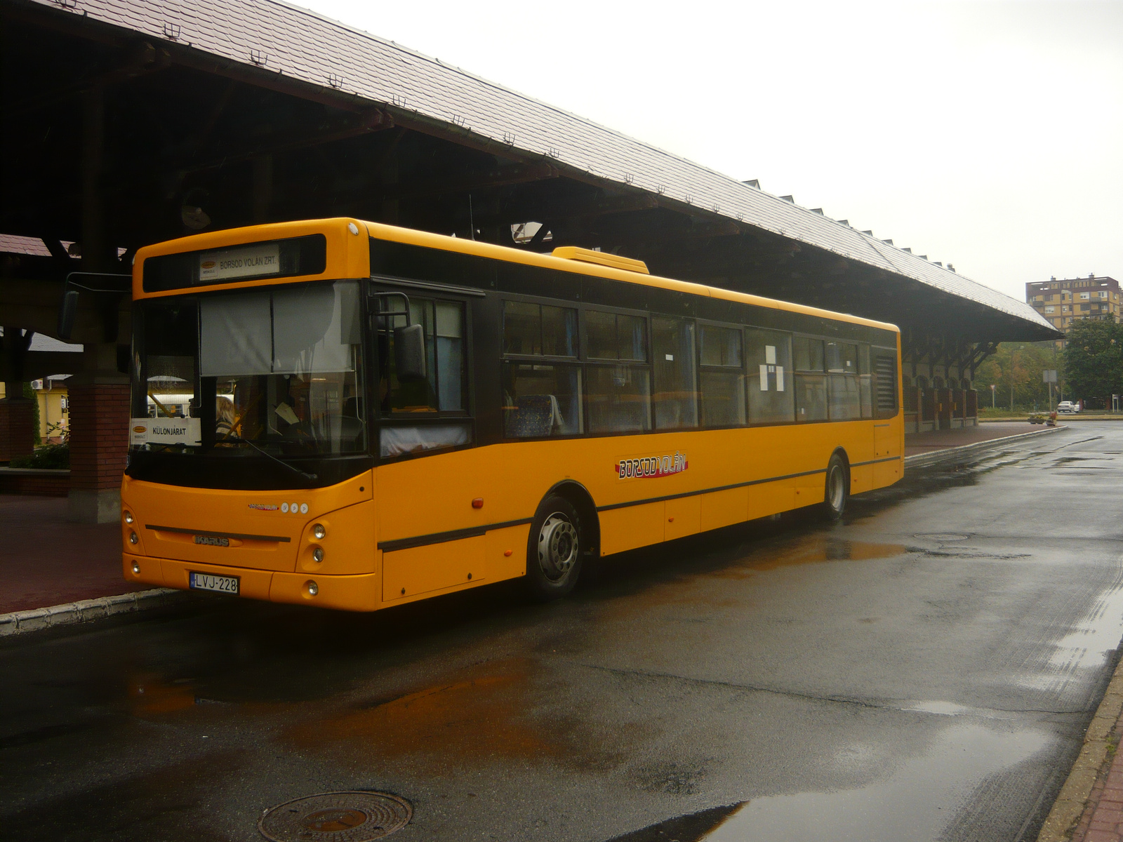 Ikarus E134 (LVJ-228)