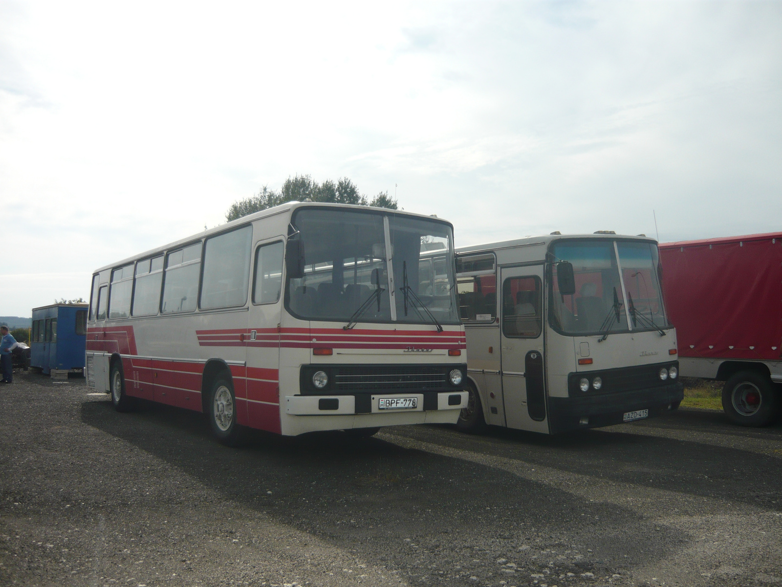 Ikarus 255 és Ikarus 250