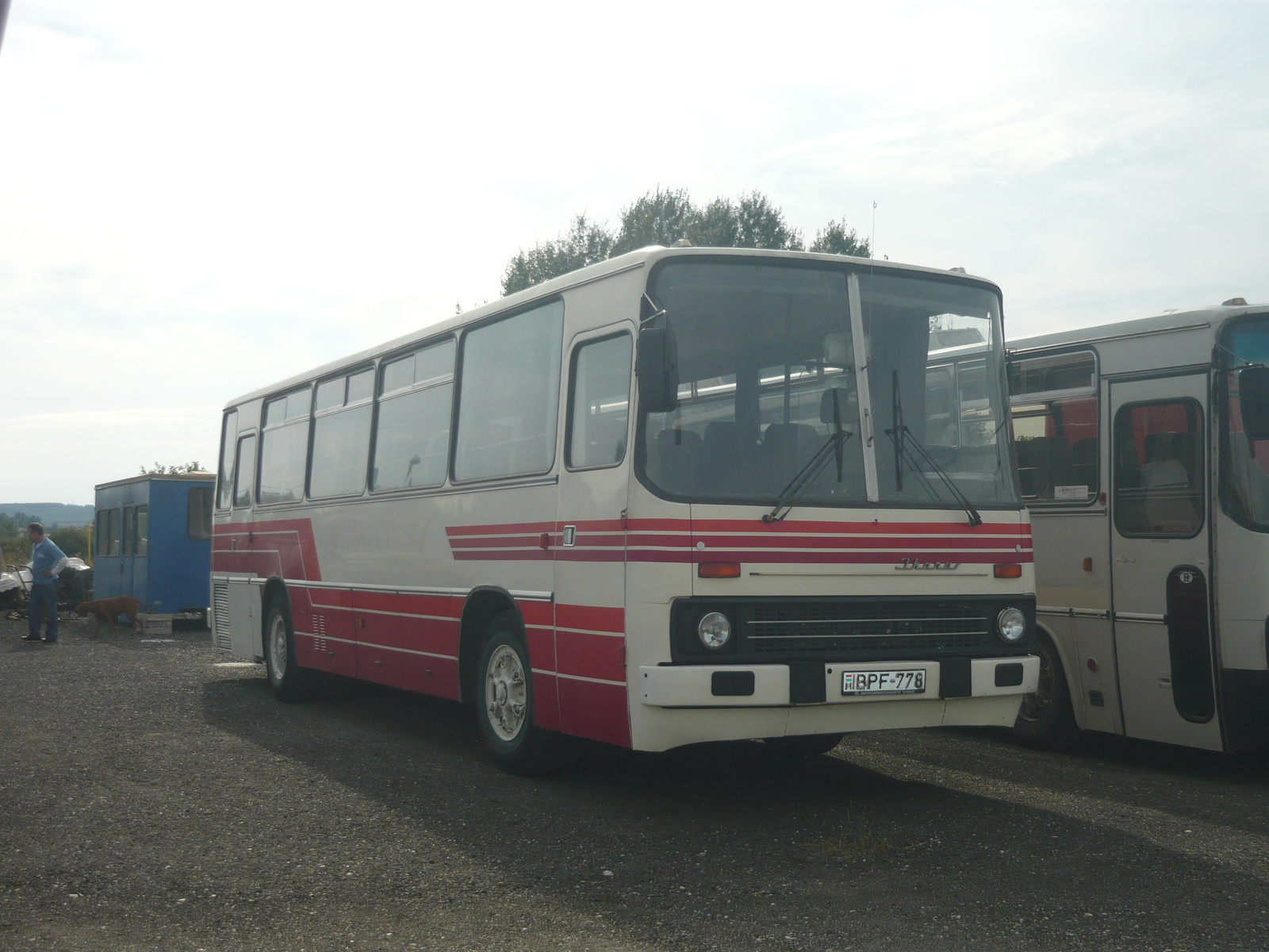 Ikarus 255 (BPF-778)