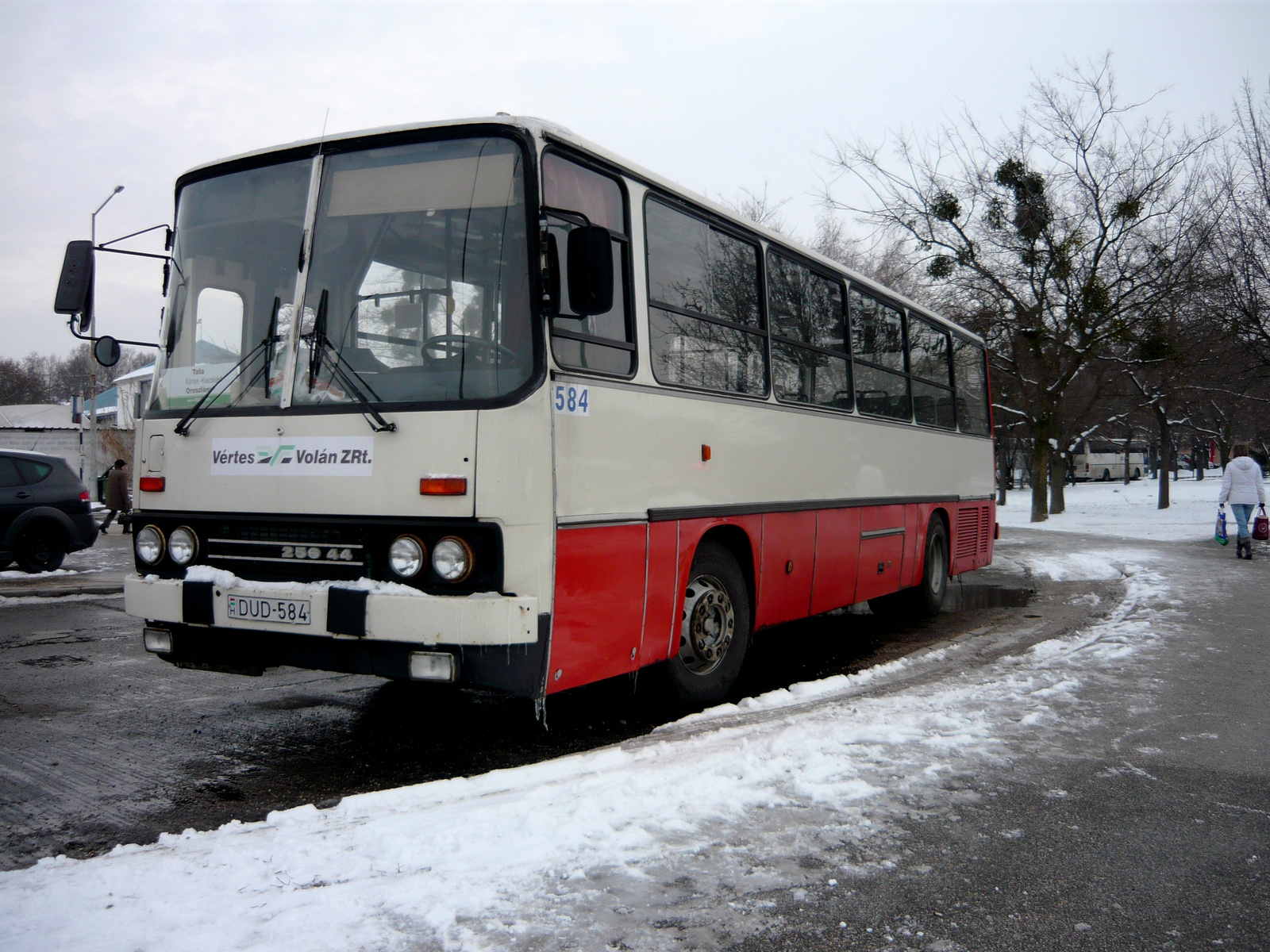 Ikarus 256.44 (DUD-584)