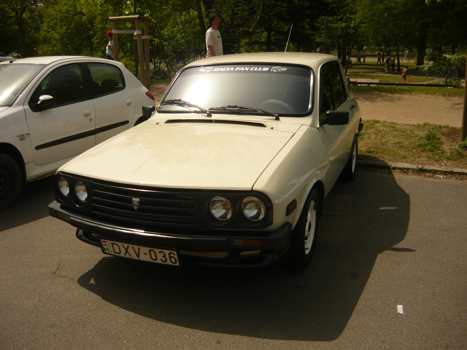 Dacia 1310