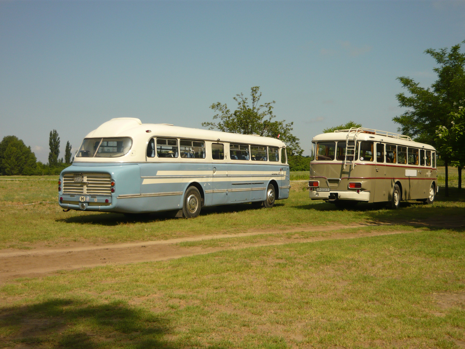 Ikarus 55 és Ikarus 630