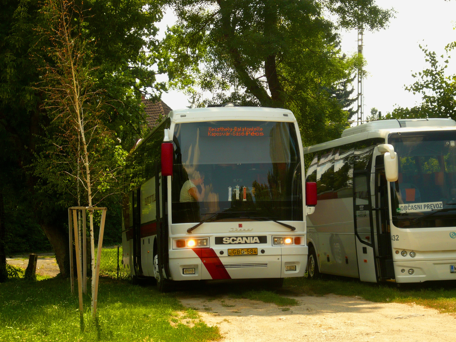 Ikarus E98.01 (GBG-584)