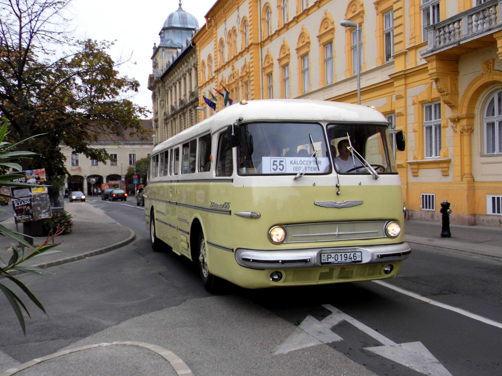 Ikarus 55