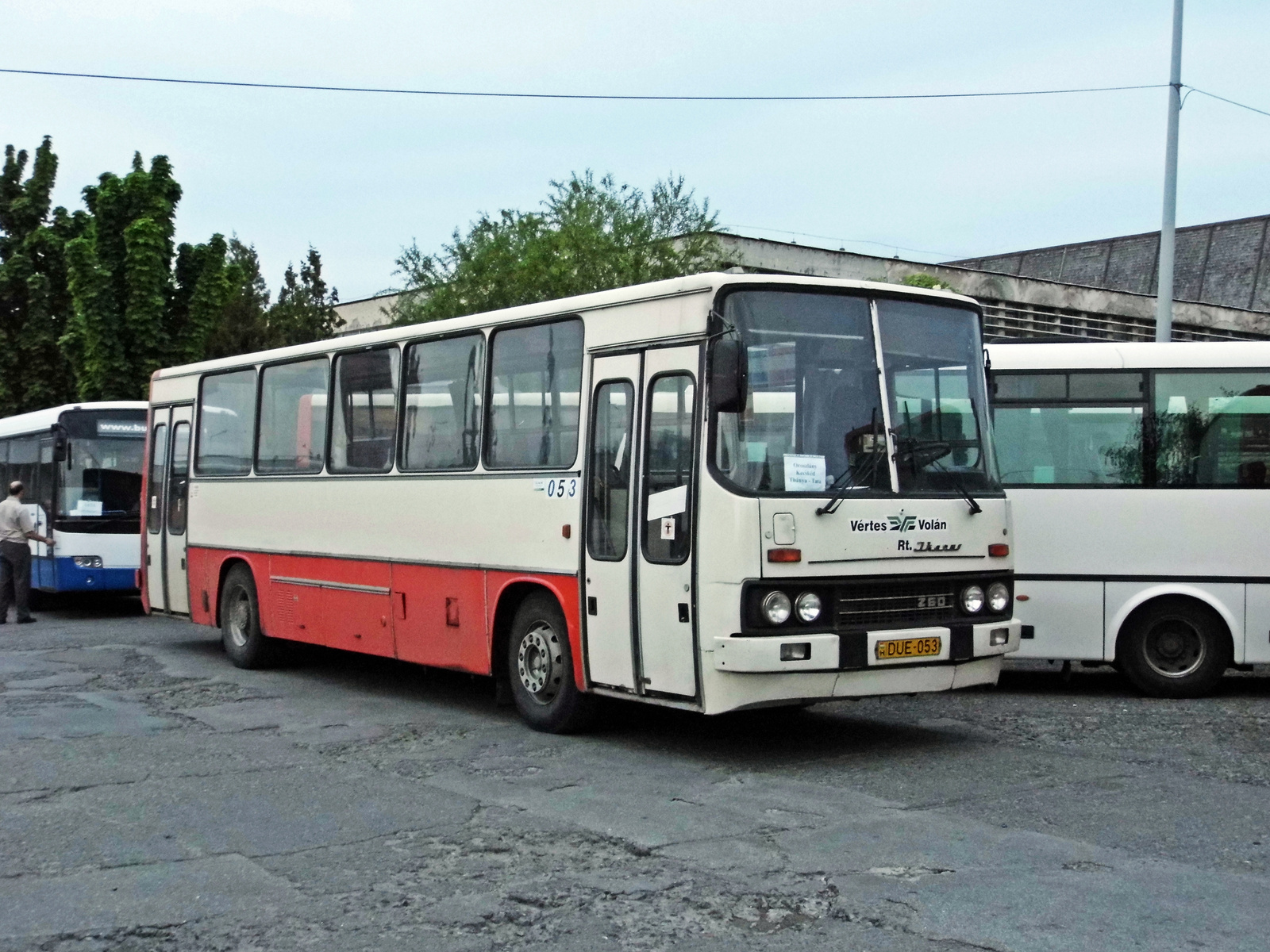 Ikarus 260.20M (DUE-053)