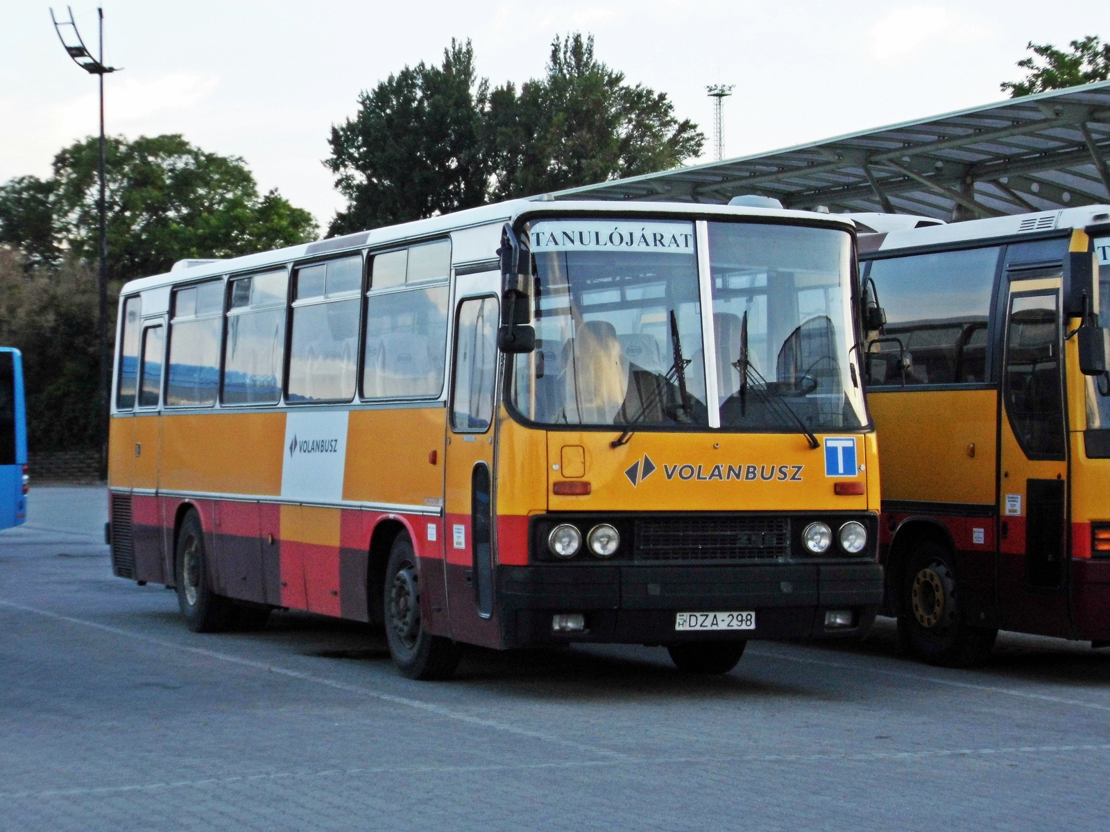 Ikarus 256.50V (DZA-298)