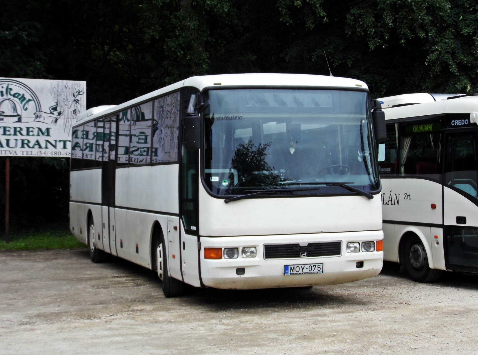 MAN ÜL313 (MOY-075)