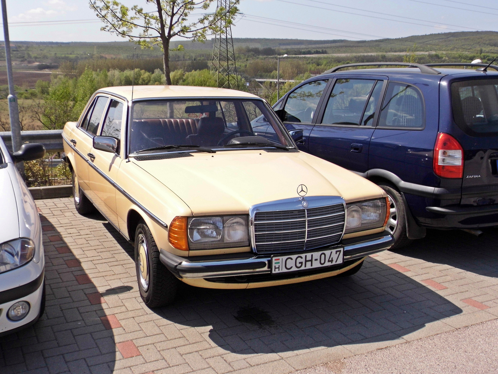 Mercedes-Benz W123