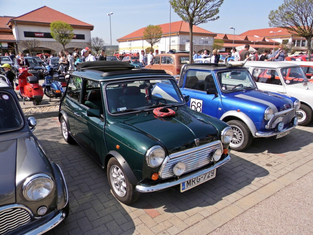 Mini