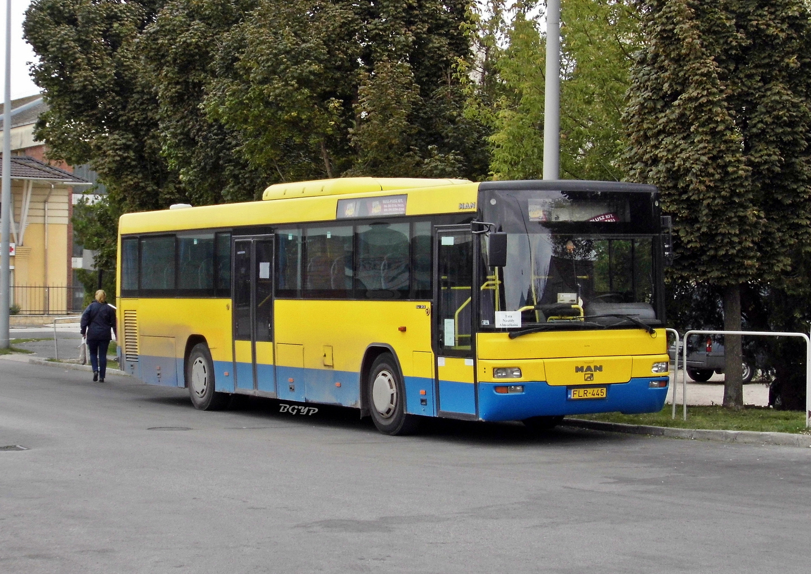 MAN SÜ313 (FLR-445)