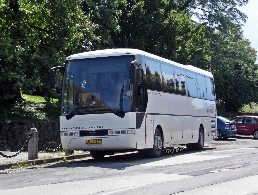 MAN Lion's Coach (FJD-917)