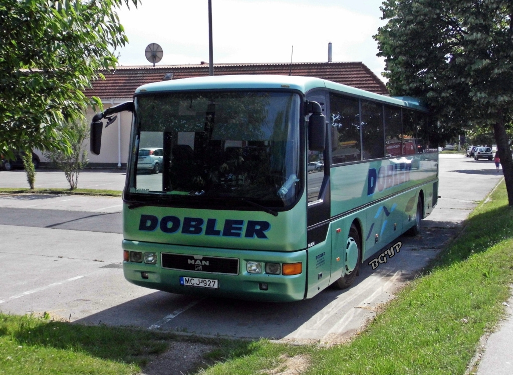 MAN ÜL313 (MCJ-927)