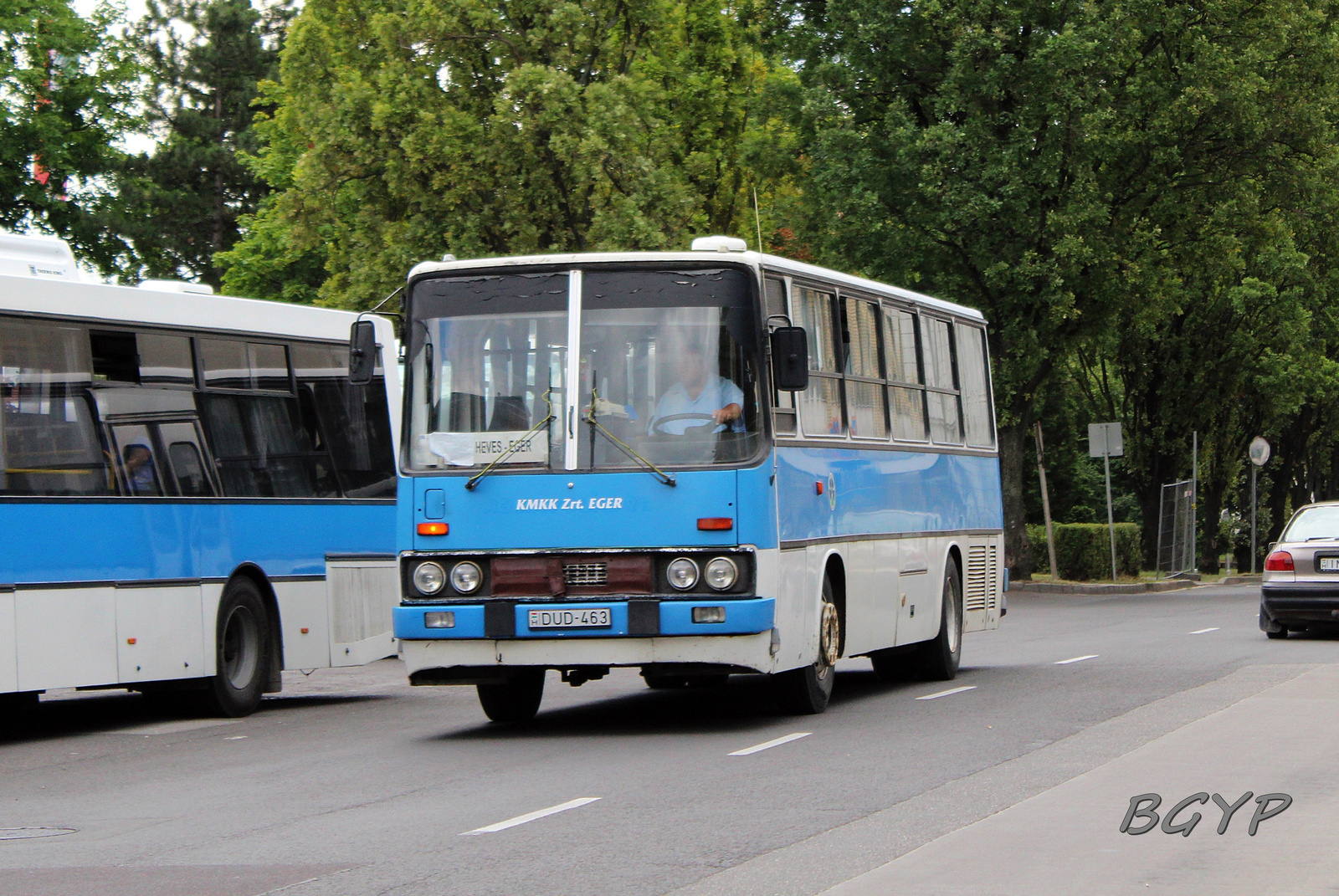 Ikarus 256.44 (DUD-463)