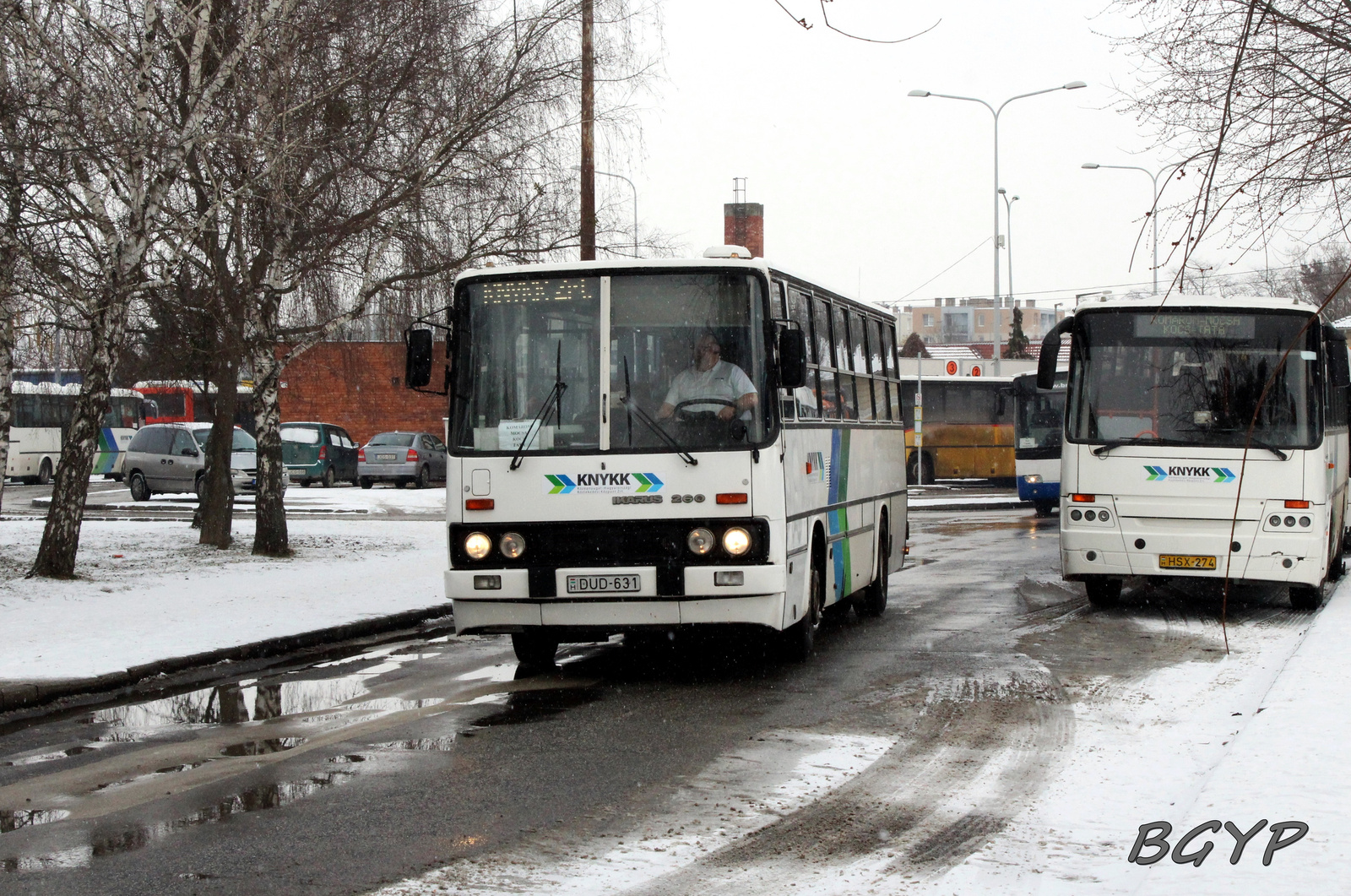 Ikarus 260.20M (DUD-631)