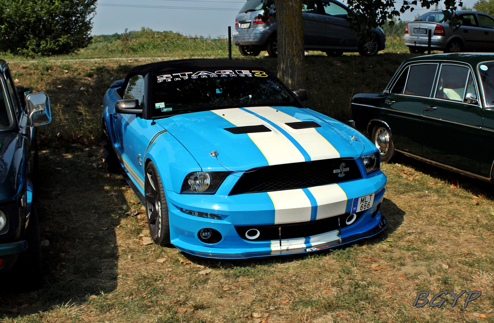 Shelby