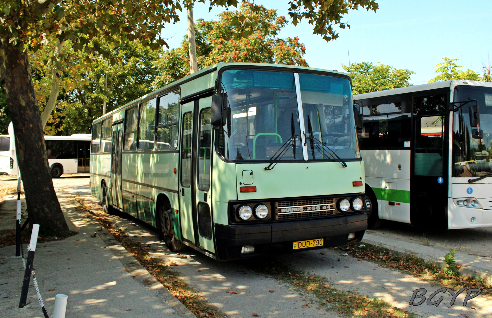 Ikarus 256.42 (DUD-790)