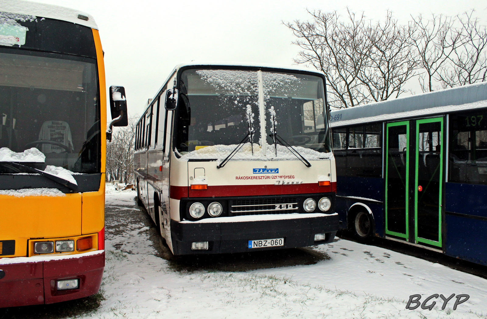 Ikarus 250.66 (NBZ-060)