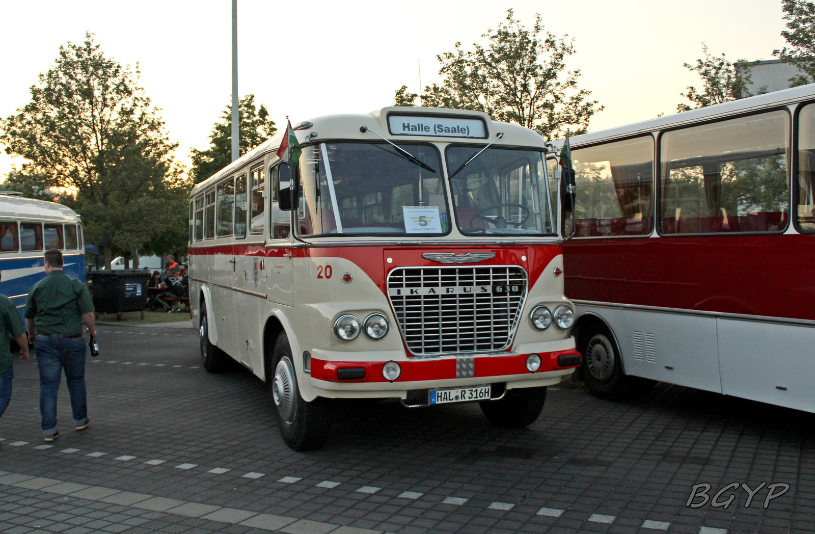 Ikarus 630.65 (HAL-R 316H)