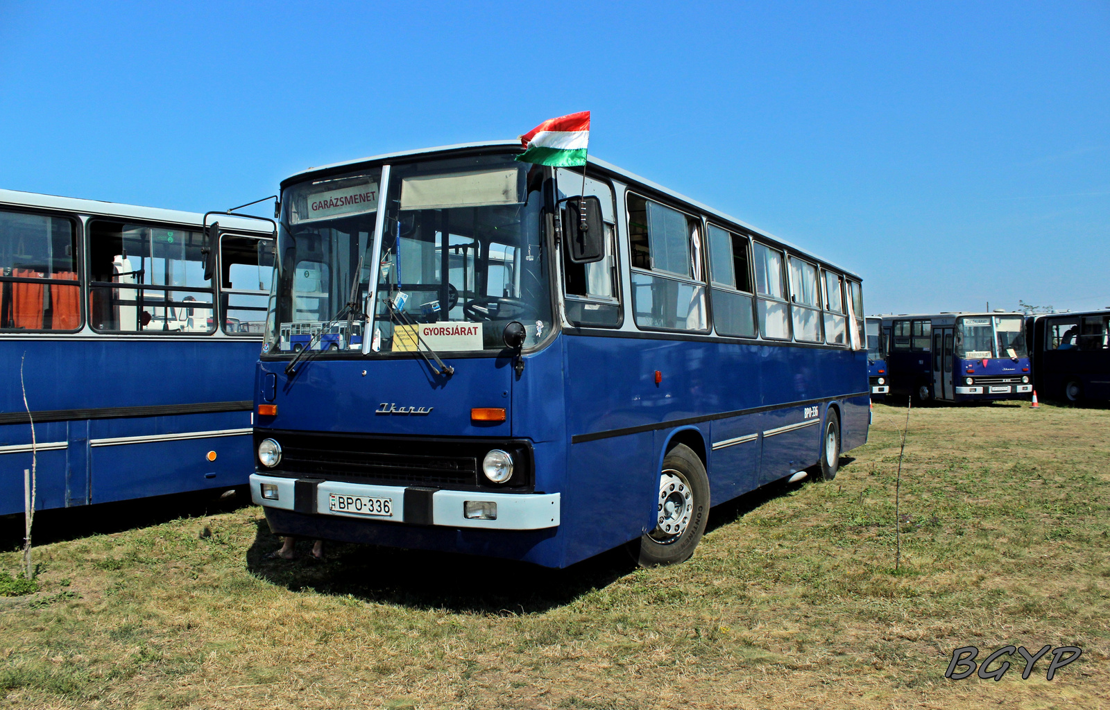 Ikarus 260.45 (BPO-336)