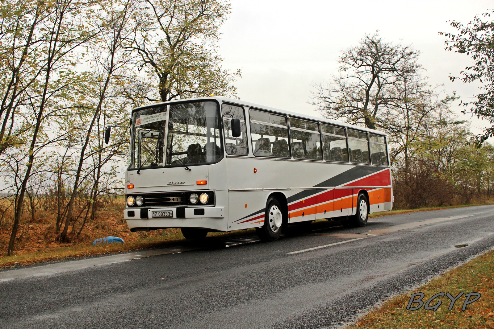 Ikarus 256.50VL (P-00333)