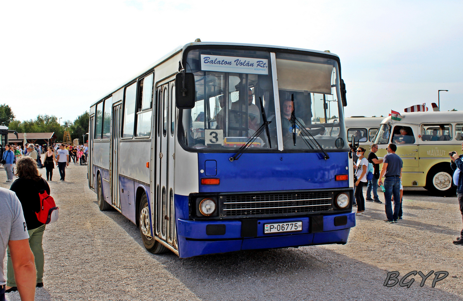 Ikarus 260.02 (P-06775)