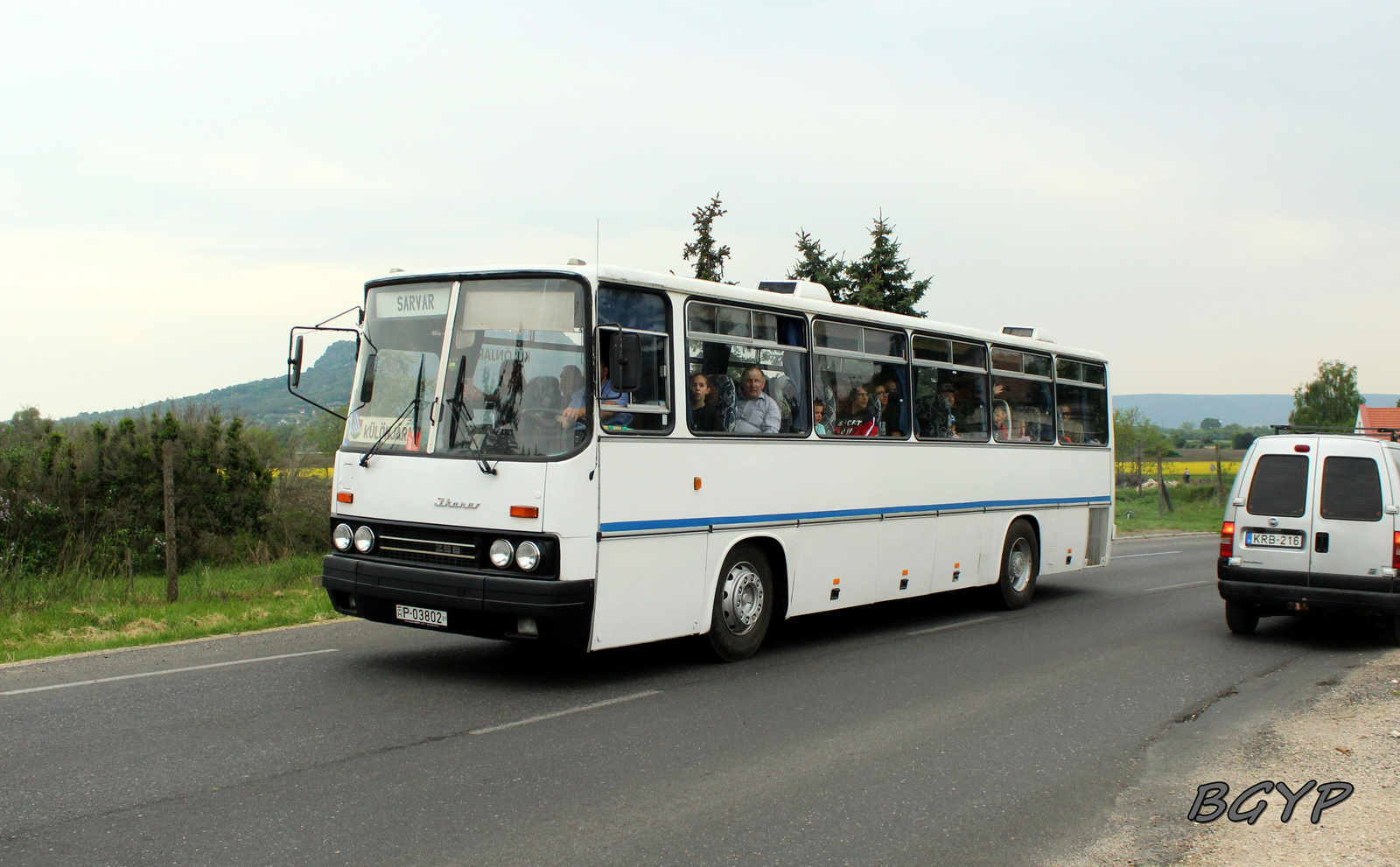 Ikarus 256.50 (P-03802)