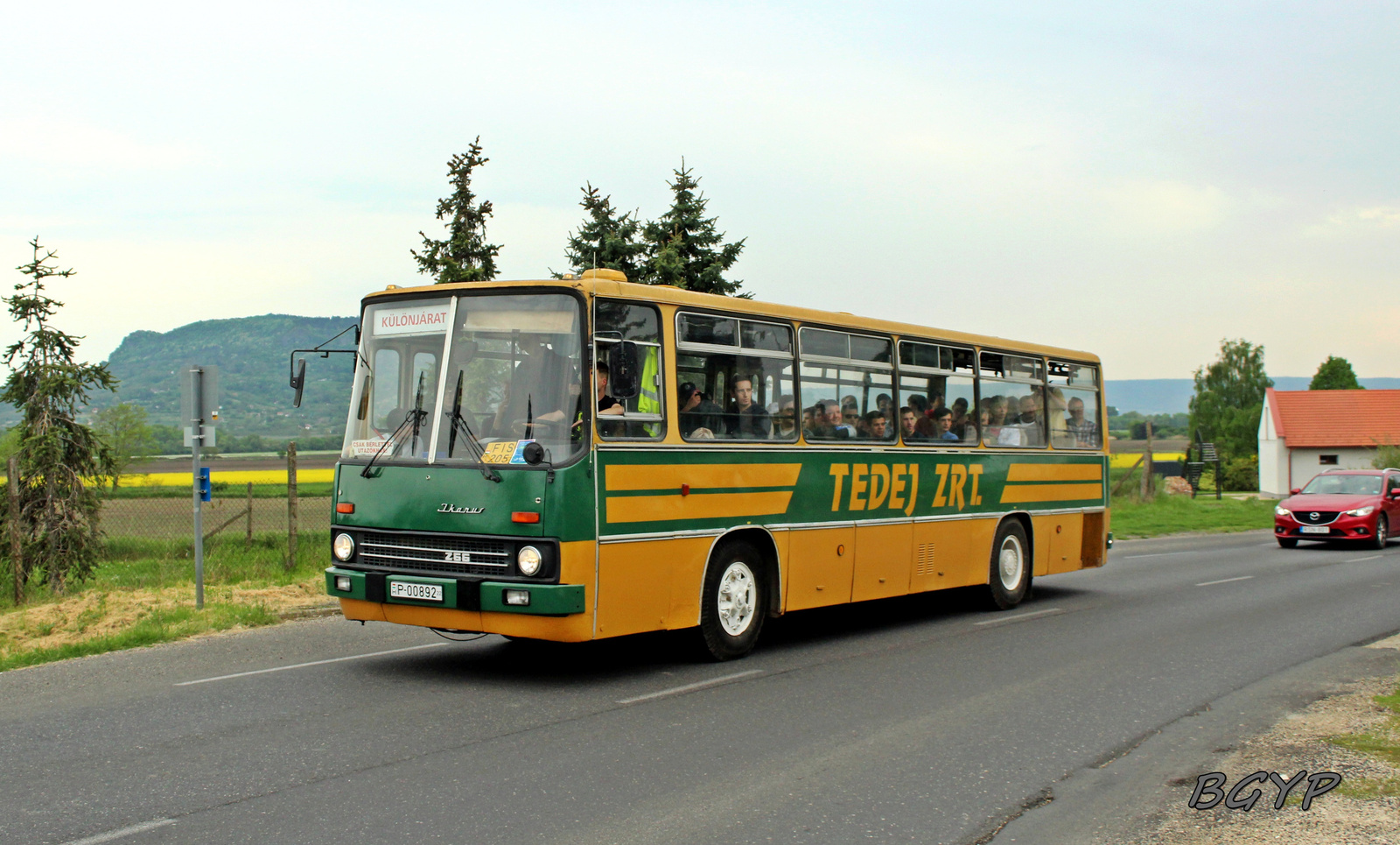 Ikarus 266.25 (P-00892)