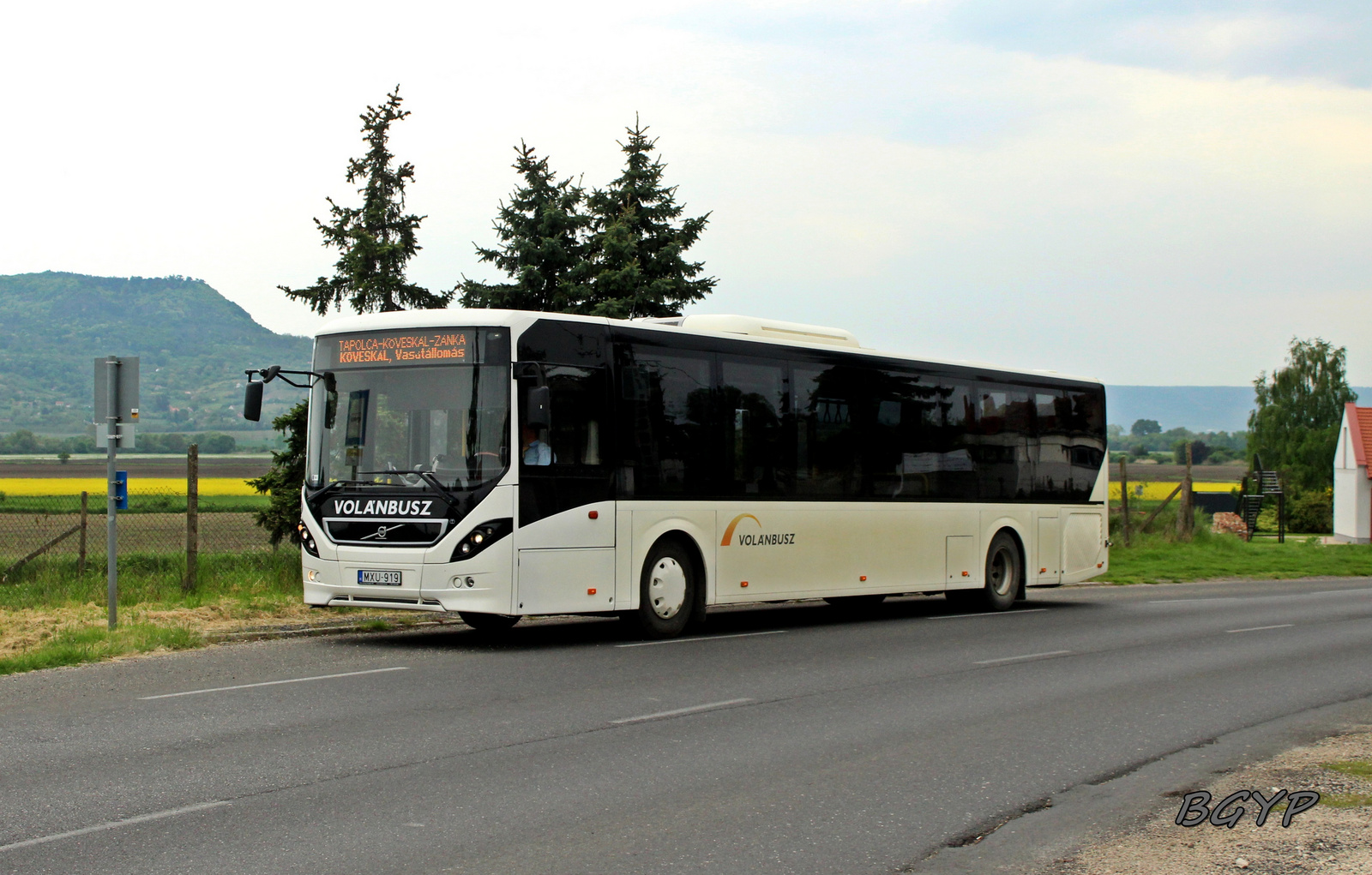 Volvo 8900LE (MXU-919)