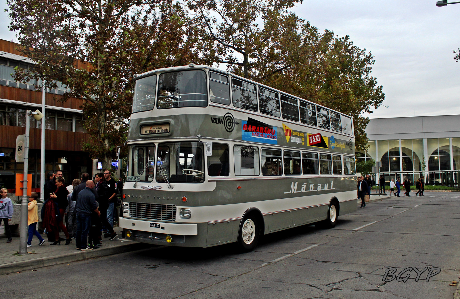 Ikarus-Mávaut 556 (P-00952)