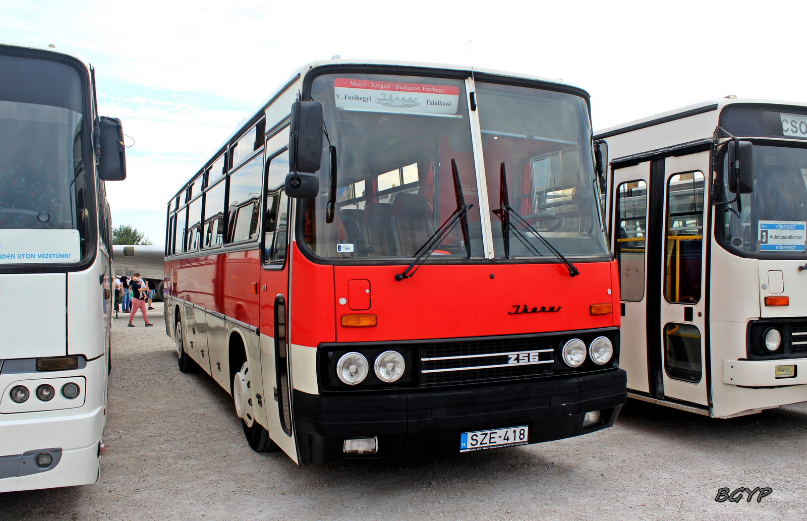 Ikarus 256.50VL (SZE-418)