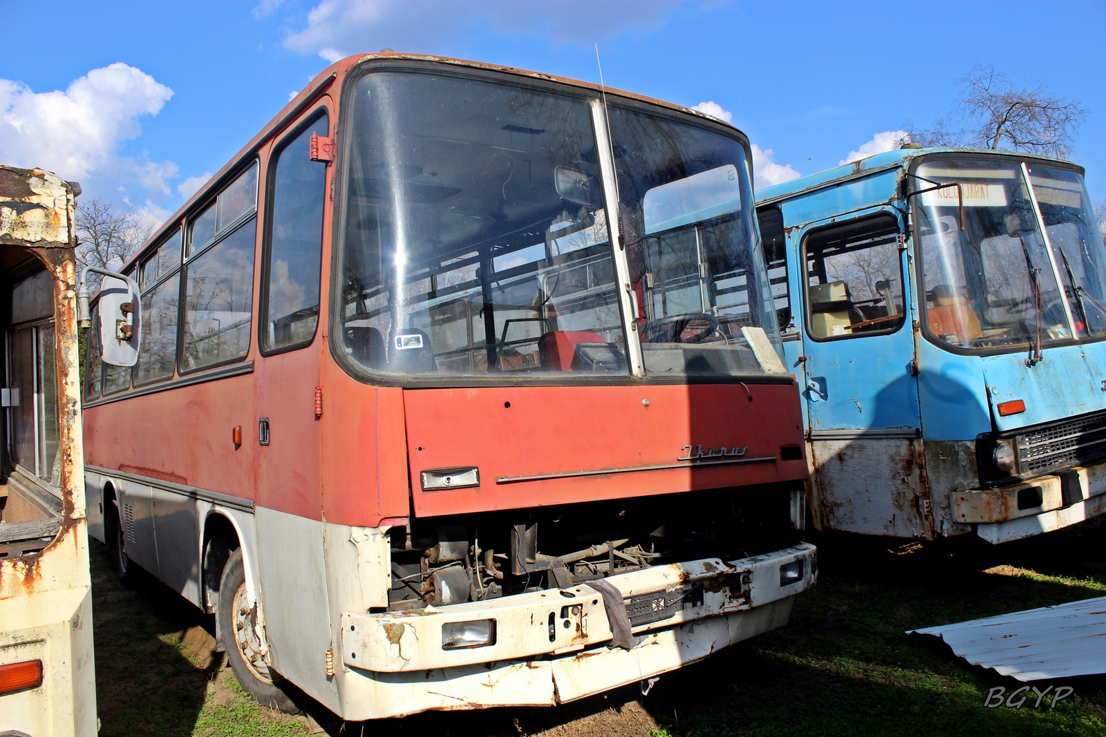 Ikarus 211.53 (KOY-336)