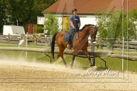 pulling 20080515 4137 tn