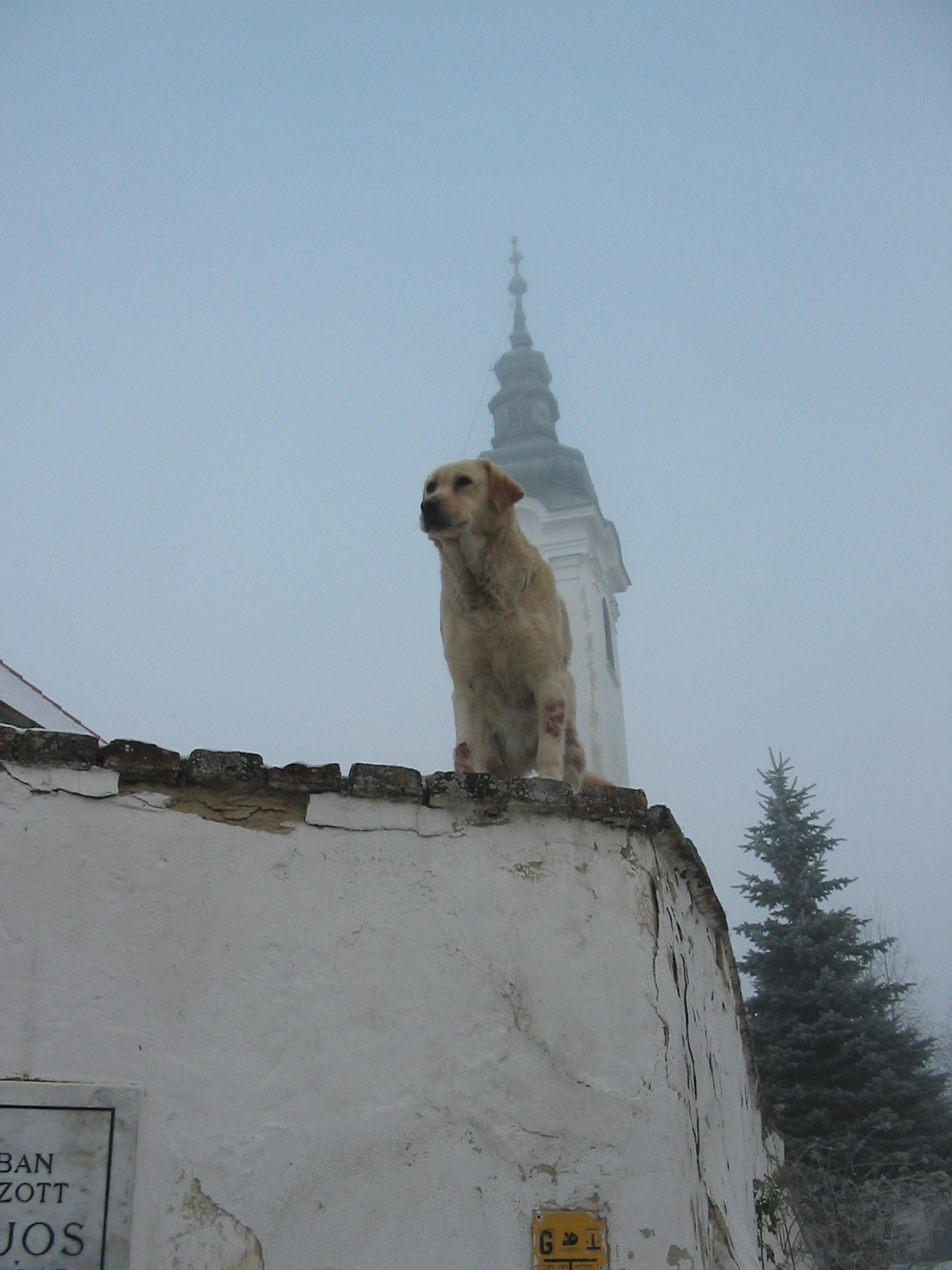 2010 12 30 zengő 005