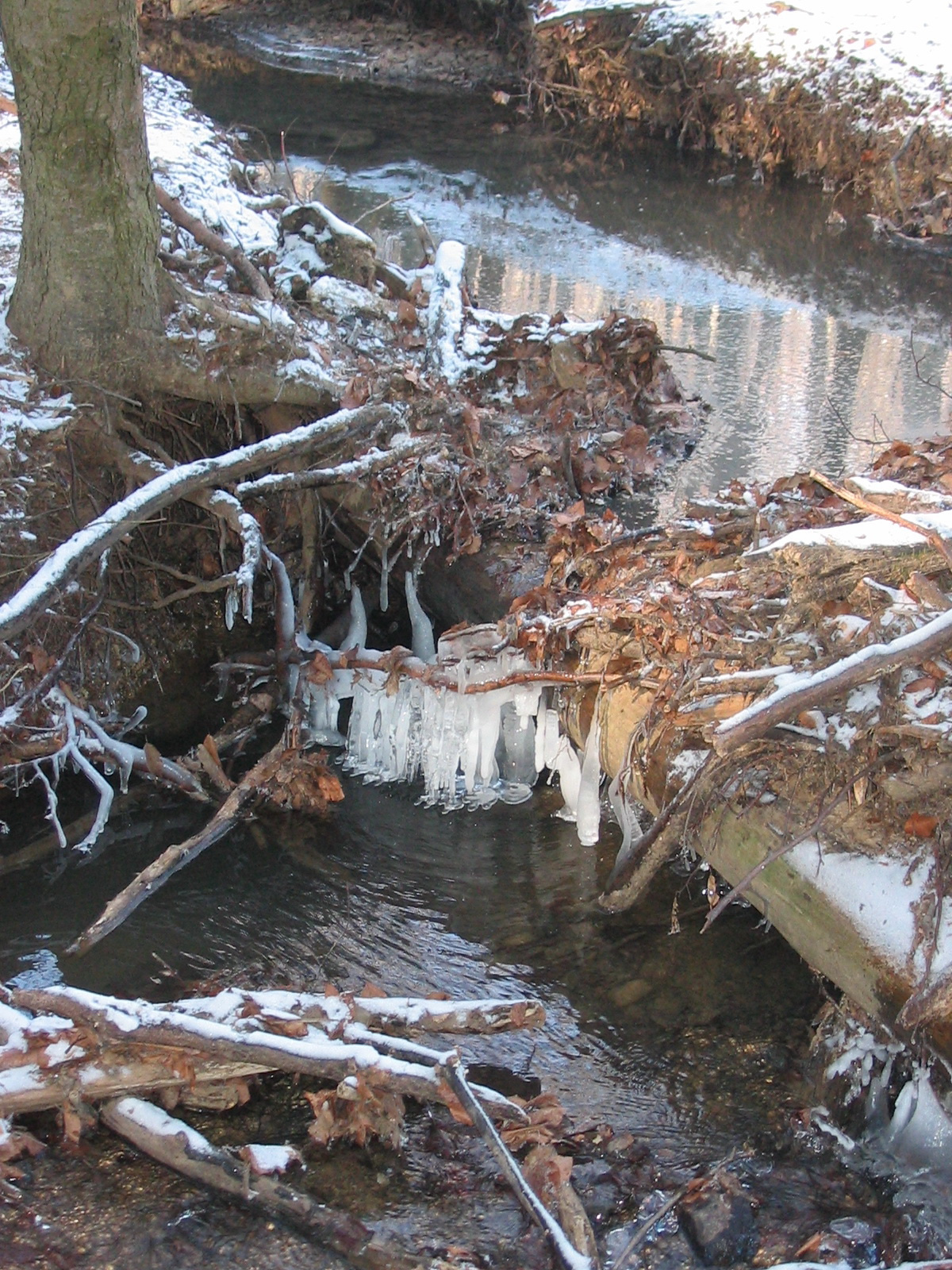 2010 12 30 zengő 027