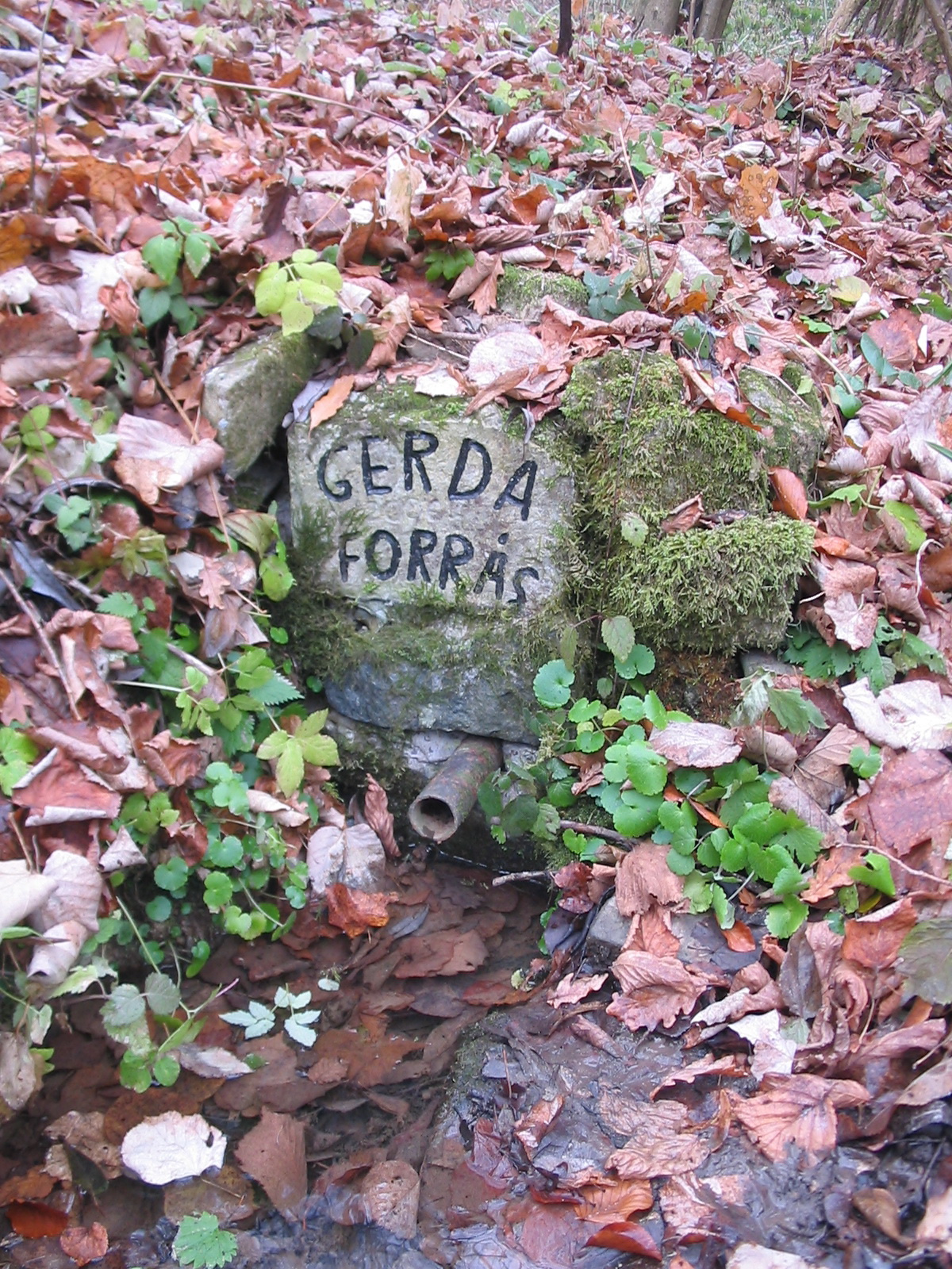 Gerda forrás